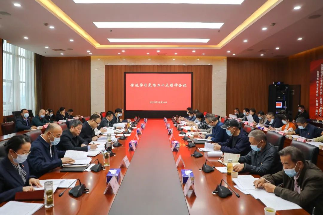 武汉市检察院召开党组（扩大）会 传达学习党的二十大精神